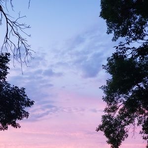 Mainly kids and women's clothes. And cute toys.